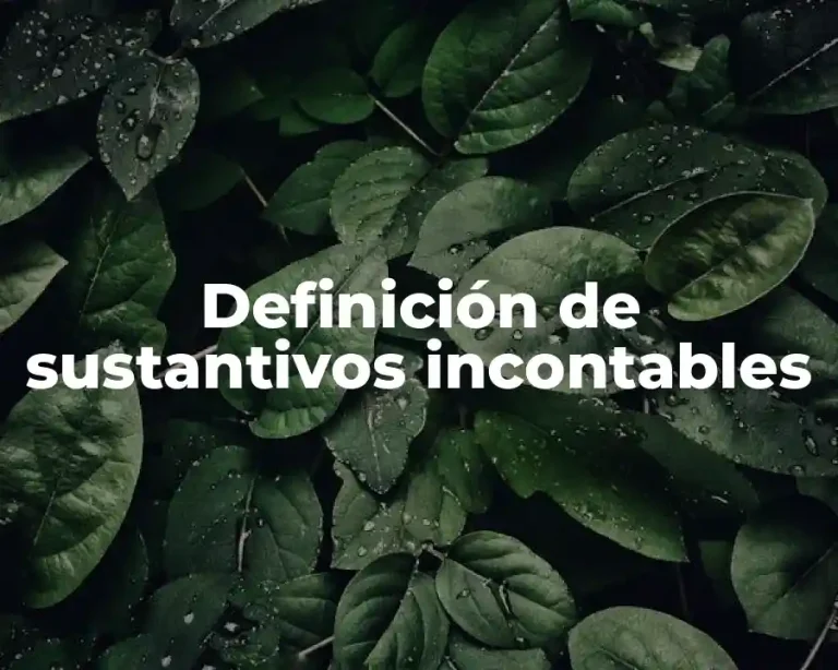 Definición de sustantivos incontables