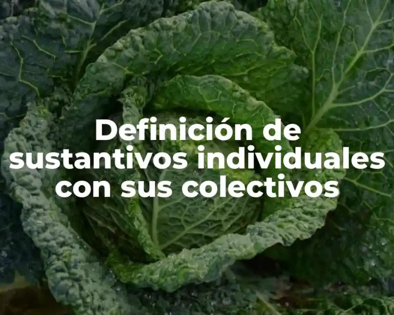 Definición de sustantivos individuales con sus colectivos
