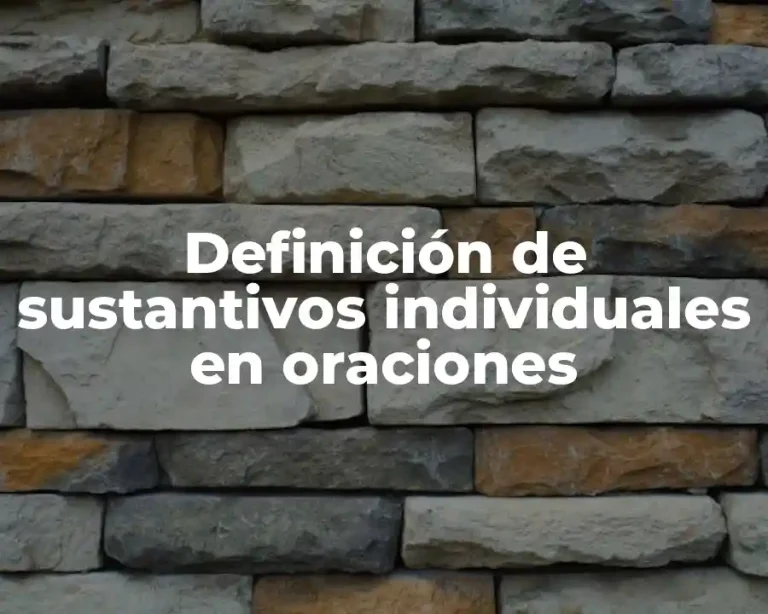 Definición de sustantivos individuales en oraciones