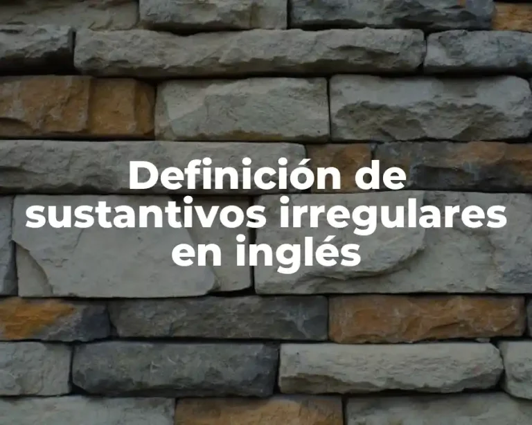 Definición de sustantivos irregulares en inglés