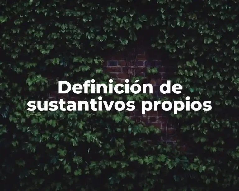 Definición de sustantivos propios