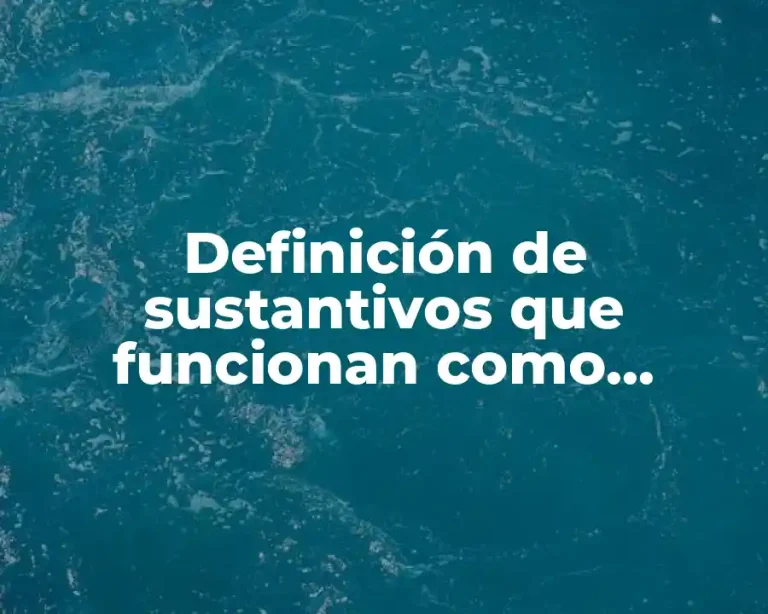 Definición de sustantivos que funcionan como complemento de otro sustantivo