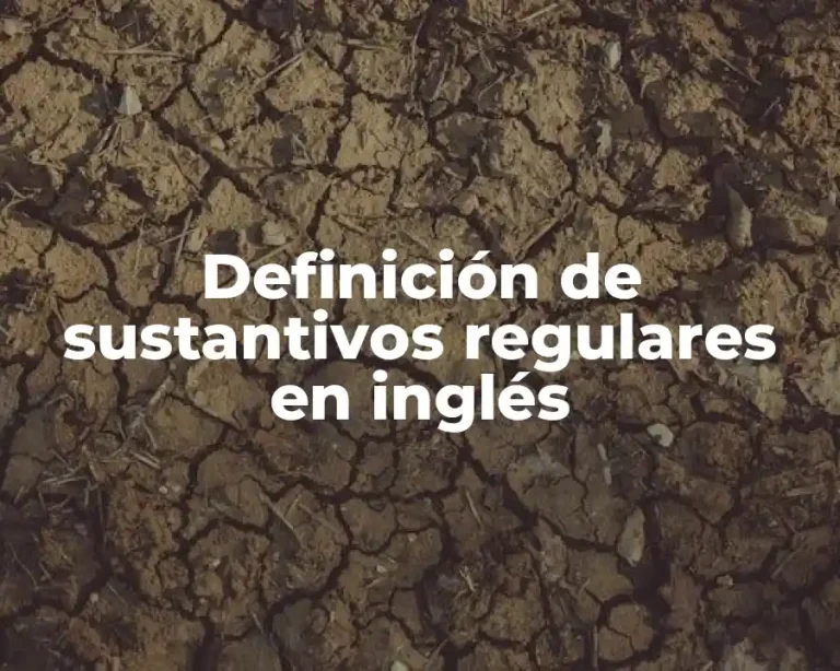 Definición de sustantivos regulares en inglés