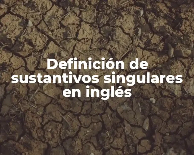 Definición de sustantivos singulares en inglés