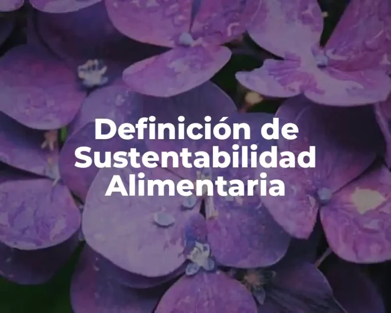 Definición de Sustentabilidad Alimentaria