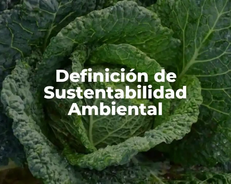Definición de Sustentabilidad Ambiental