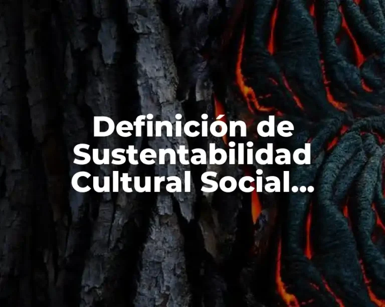 Definición de Sustentabilidad Cultural Social Ambiental y Técnico Productivo