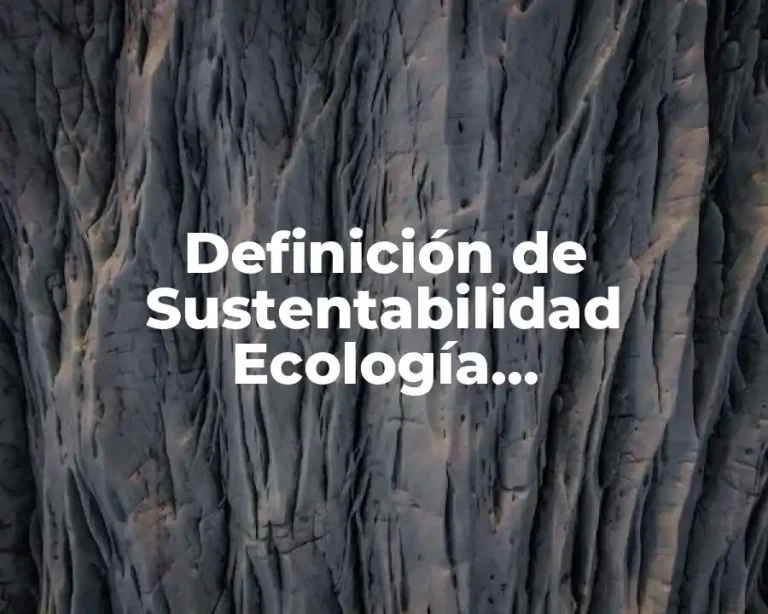 Definición de Sustentabilidad Ecología Responsabilidad Medio Hábitat y Consumo
