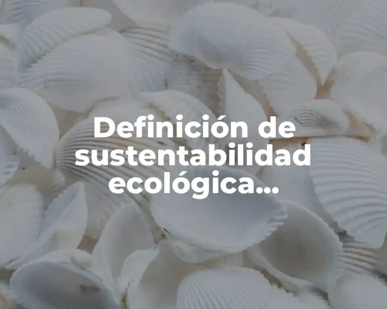 Definición de sustentabilidad ecológica, responsabilidad medio ambiente y consumo