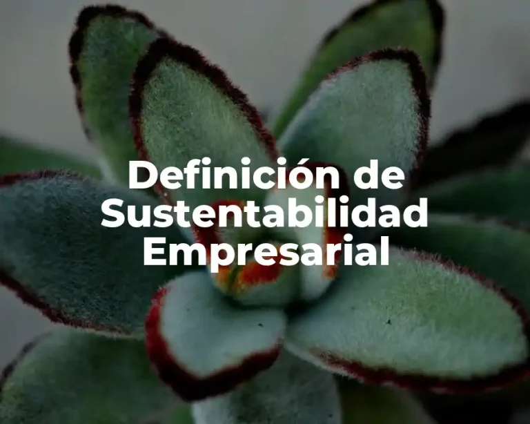 Definición de Sustentabilidad Empresarial
