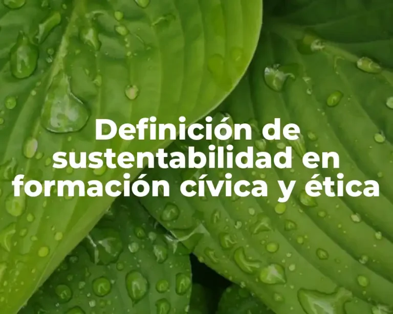 Definición de sustentabilidad en formación cívica y ética