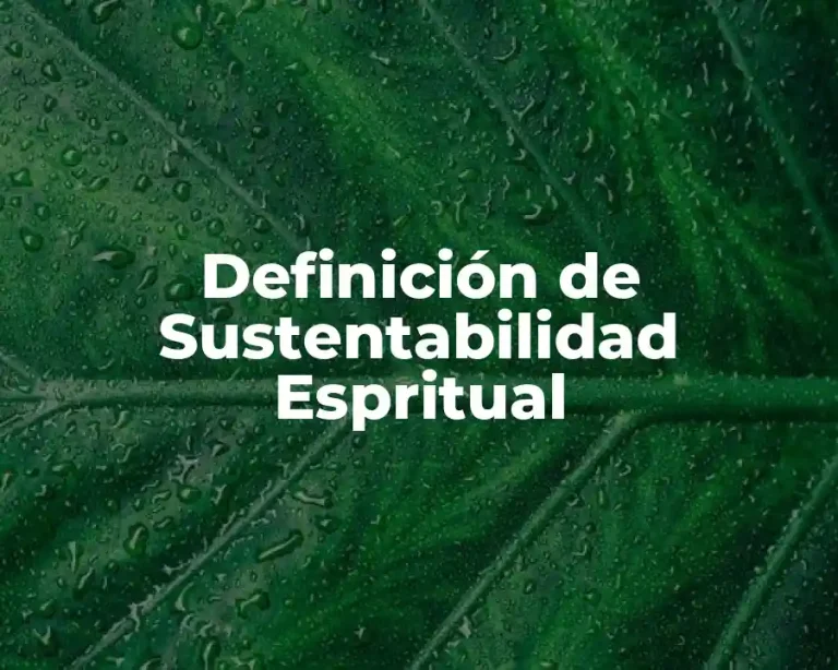 Definición de Sustentabilidad Espritual