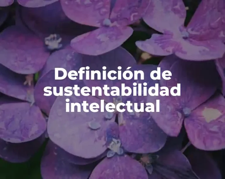 Definición de sustentabilidad intelectual