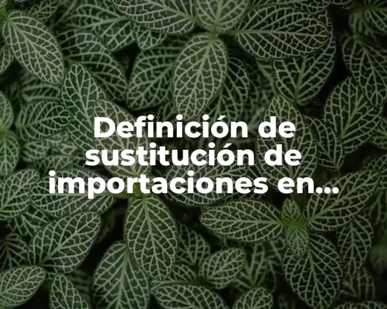 Definición de sustitución de importaciones en modelo económico