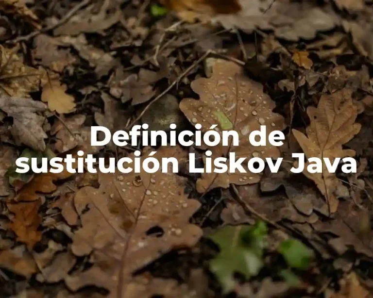 Definición de sustitución Liskov Java