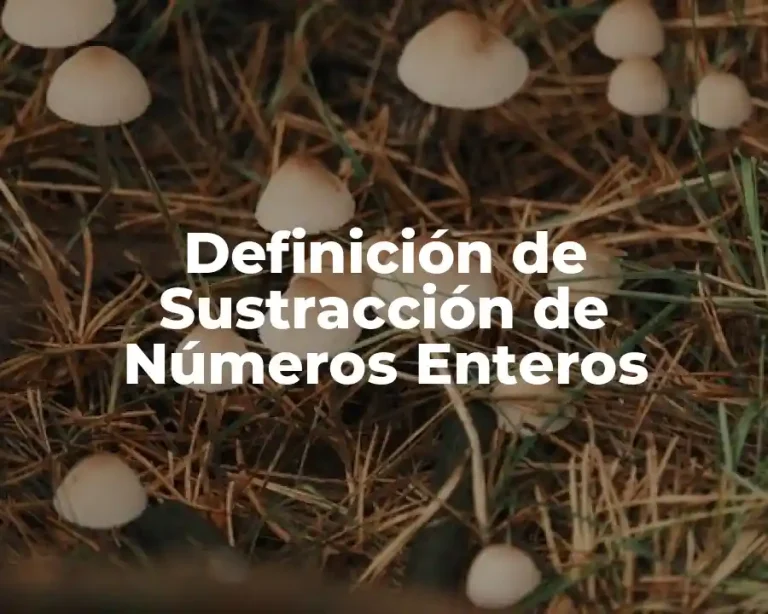 Definición de Sustracción de Números Enteros
