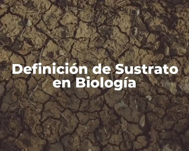 Definición de Sustrato en Biología