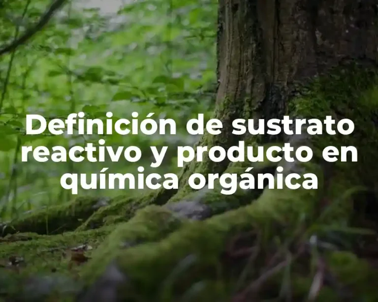 Definición de sustrato reactivo y producto en química orgánica