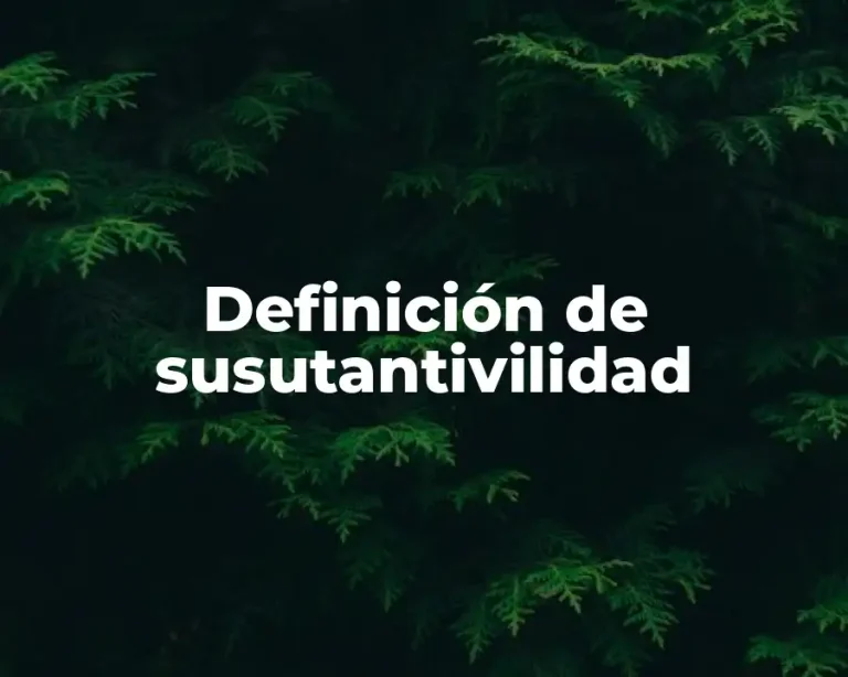 Definición de susutantivilidad