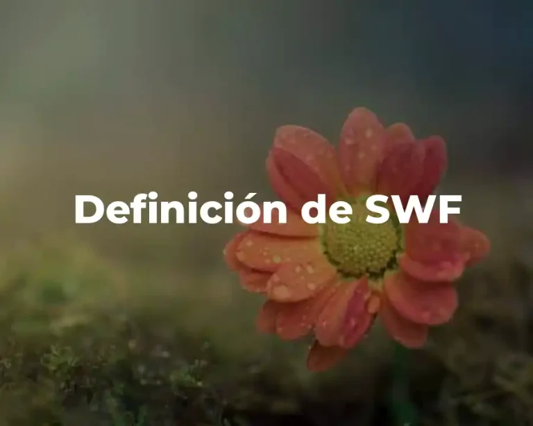 Definición de SWF