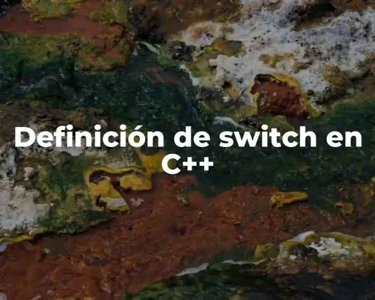 Definición de switch en C++