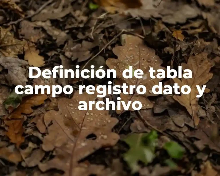 Definición de tabla campo registro dato y archivo