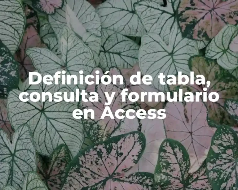 Definición de tabla, consulta y formulario en Access