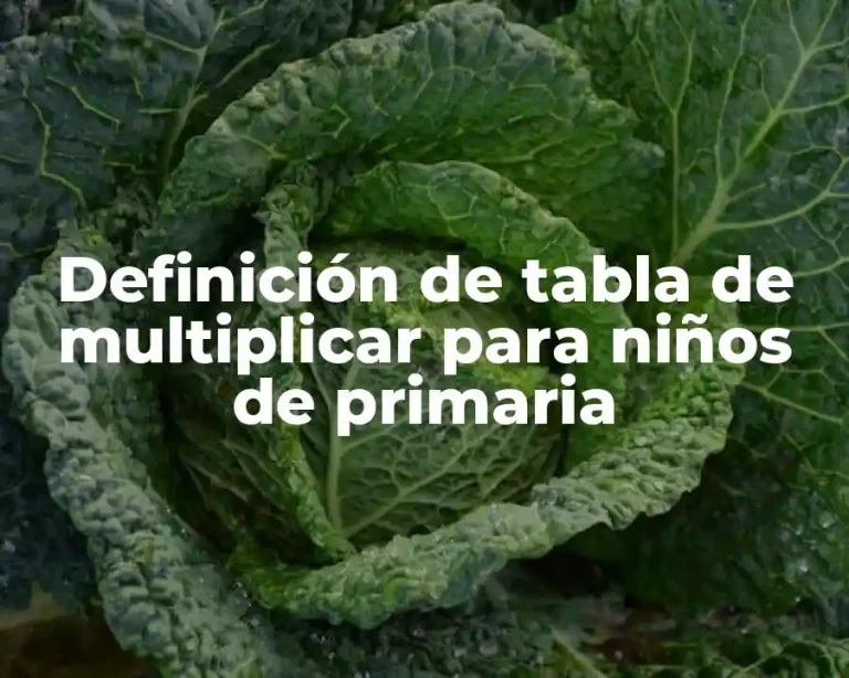 Definición de tabla de multiplicar para niños de primaria