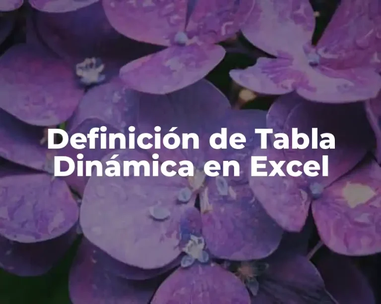 Definición de Tabla Dinámica en Excel