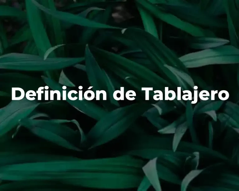 Definición de Tablajero