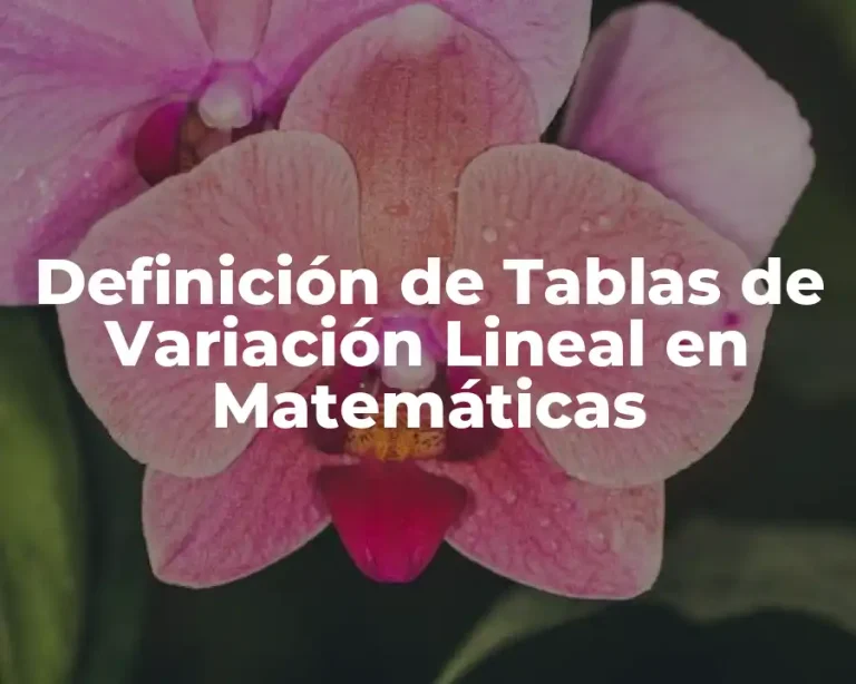 Definición de Tablas de Variación Lineal en Matemáticas