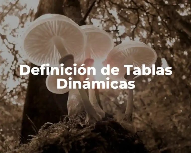 Definición de Tablas Dinámicas