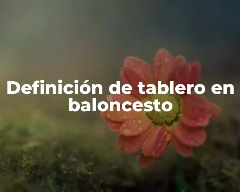 Definición de tablero en baloncesto