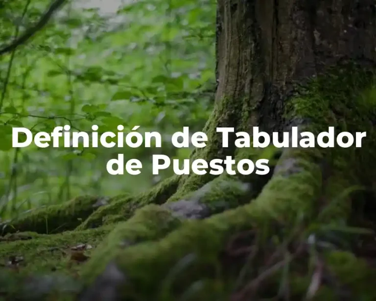 Definición de Tabulador de Puestos