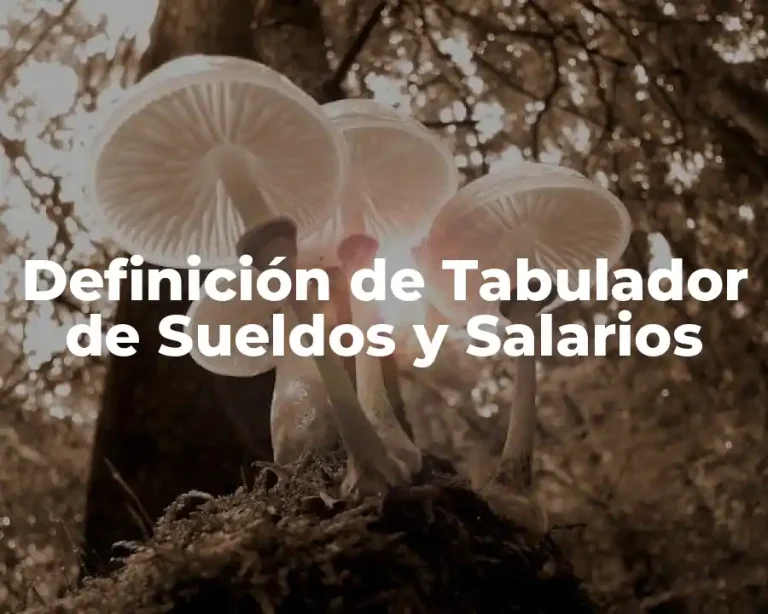 Definición de Tabulador de Sueldos y Salarios