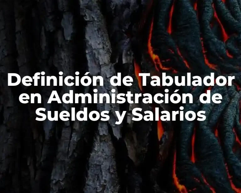 Definición de Tabulador en Administración de Sueldos y Salarios