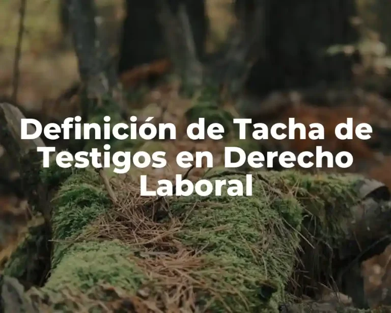 Definición de Tacha de Testigos en Derecho Laboral