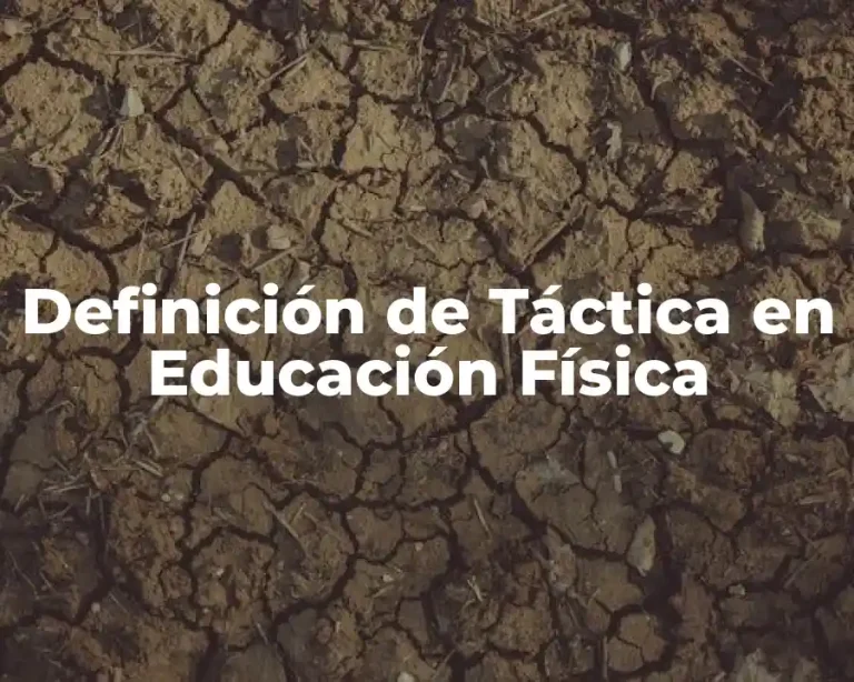 Definición de Táctica en Educación Física