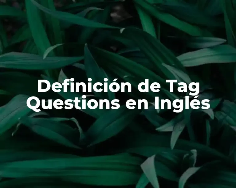 Definición de Tag Questions en Inglés