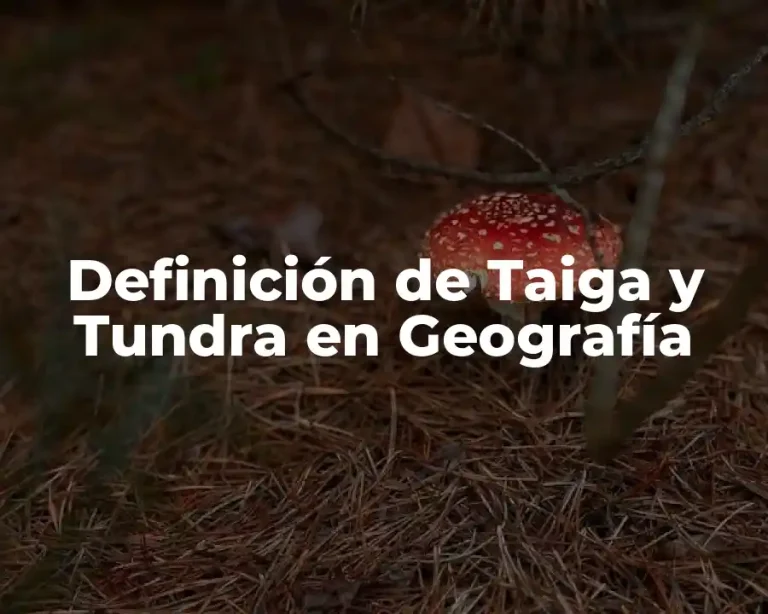 Definición de Taiga y Tundra en Geografía