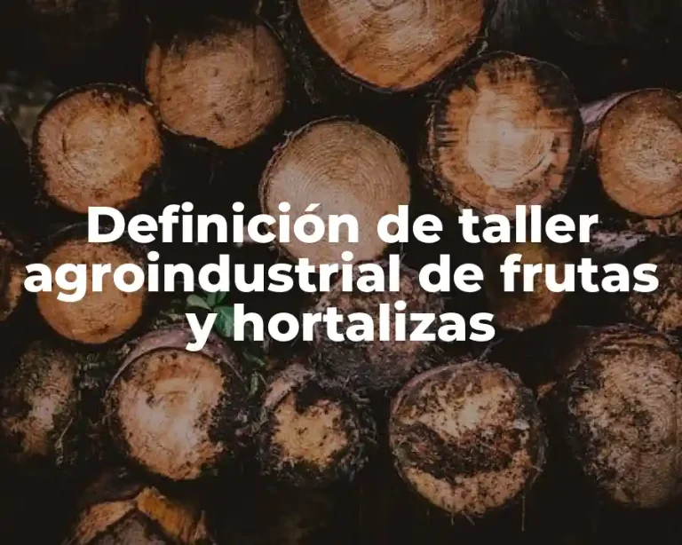 Definición de taller agroindustrial de frutas y hortalizas