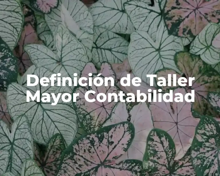 Definición de Taller Mayor Contabilidad