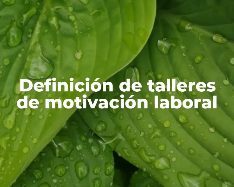 Definición de talleres de motivación laboral
