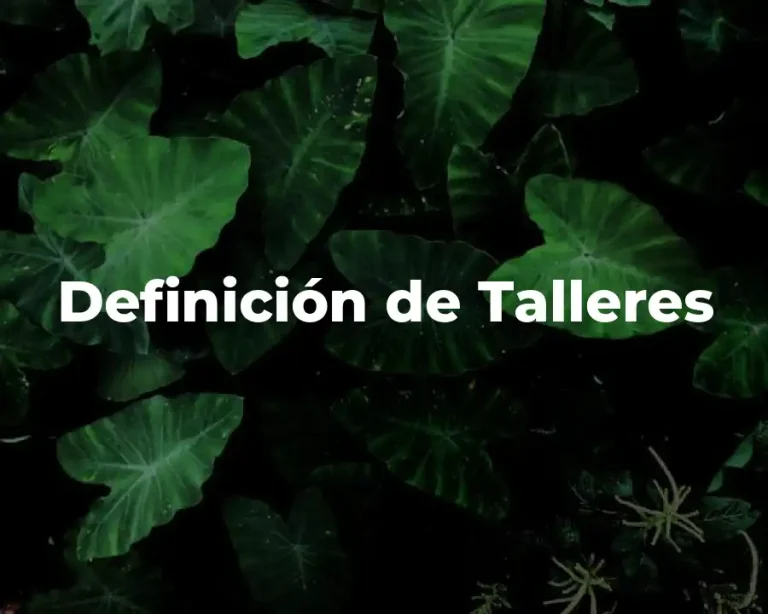 Definición de Talleres