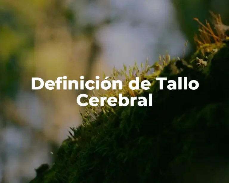 Definición de Tallo Cerebral