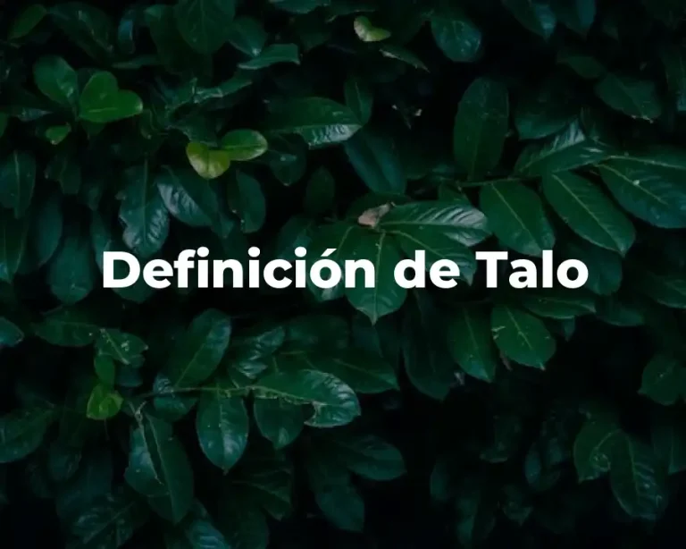 Definición de Talo