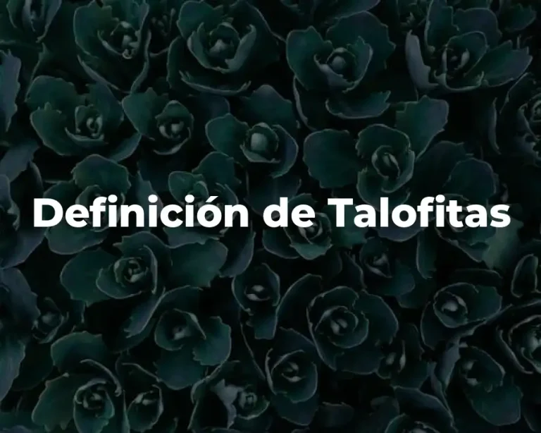 Definición de Talofitas