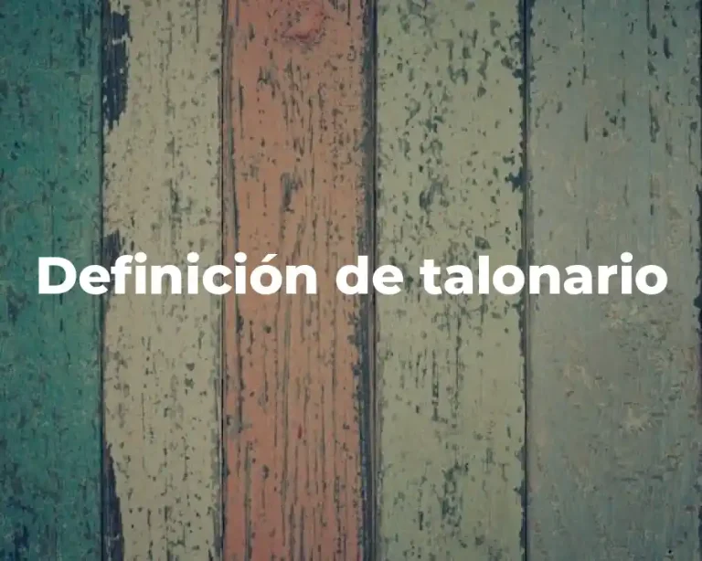 Definición de talonario