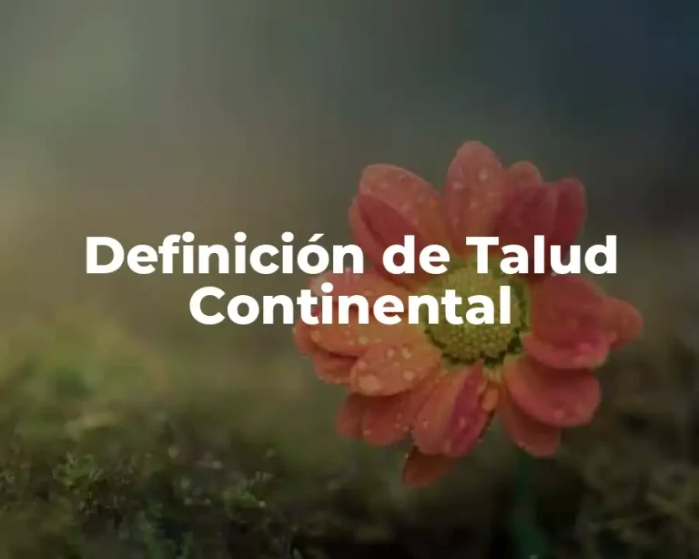 Definición de Talud Continental