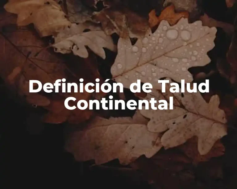 Definición de Talud Continental